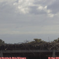10_50-mast.jpg