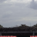 10_55-mast.jpg