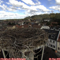 10_55-nest.jpg