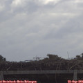 11_00-mast.jpg