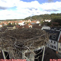11_00-nest.jpg