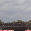11_05-mast.jpg