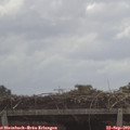 11_10-mast.jpg