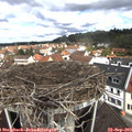 11_15-nest.jpg