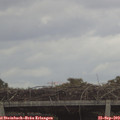 11_20-mast.jpg