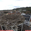 11_20-nest.jpg