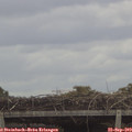 11_25-mast.jpg