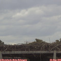 11_35-mast.jpg