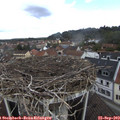 11_35-nest.jpg