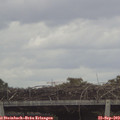 11_40-mast.jpg