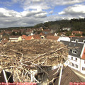12_00-nest.jpg