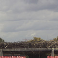 12_05-mast.jpg