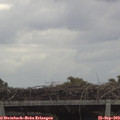 12_10-mast.jpg