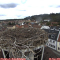 12_10-nest.jpg