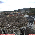 12_15-nest.jpg