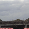 12_20-mast.jpg
