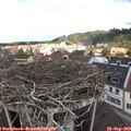 12_20-nest.jpg