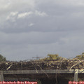 12_25-mast.jpg