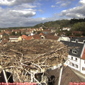 12_25-nest.jpg