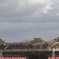 12_30-mast.jpg