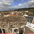 12_30-nest.jpg