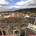 12_35-nest.jpg