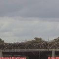 12_40-mast.jpg