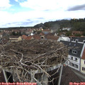 12_40-nest.jpg