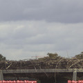 12_45-mast.jpg