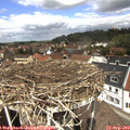 12_45-nest.jpg