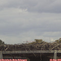 12_50-mast.jpg