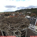 12_55-nest.jpg