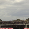 13_00-mast.jpg