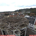 13_05-nest.jpg