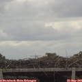 13_10-mast.jpg