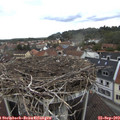 13_10-nest.jpg