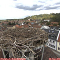 13_15-nest.jpg