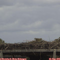13_20-mast.jpg