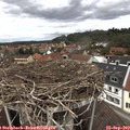 13_20-nest.jpg