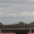 13_25-mast.jpg