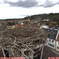 13_25-nest.jpg