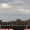 13_30-mast.jpg