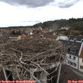 13_30-nest.jpg
