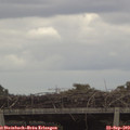 13_35-mast.jpg