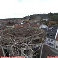 13_35-nest.jpg