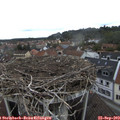 13_40-nest.jpg