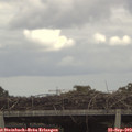 13_50-mast.jpg