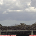 13_55-mast.jpg