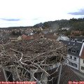 13_55-nest.jpg