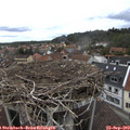 14_00-nest.jpg